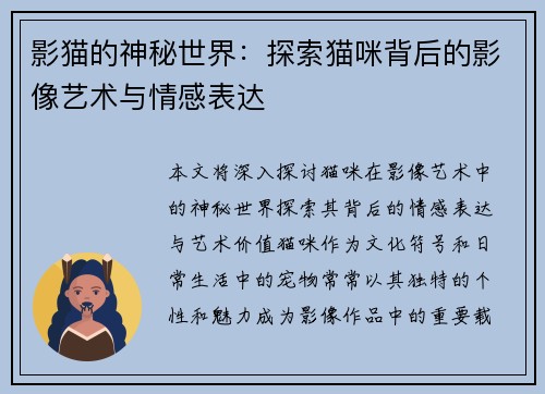 影猫的神秘世界：探索猫咪背后的影像艺术与情感表达